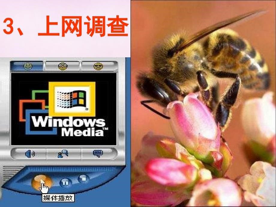 2018秋八年级语文上册 第6单元综合-怎样搜集资料课件 新人教版_第5页