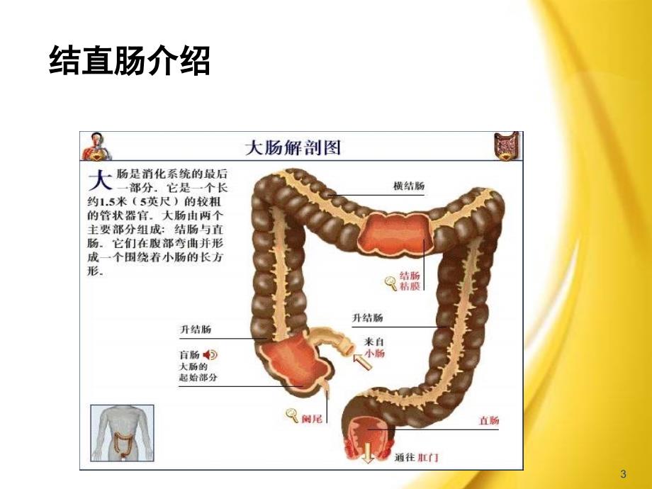 直肠癌放疗 刘劲松_第3页