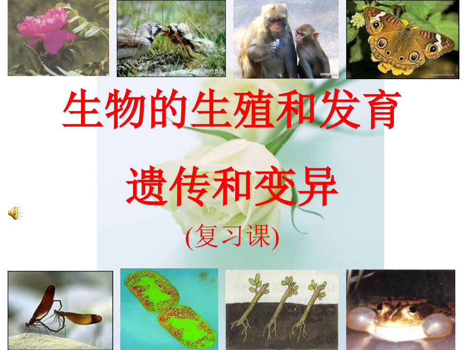 八年级生物下册《第七单元第一章生物的生殖和发育》复习课件(共67张ppt)_第1页