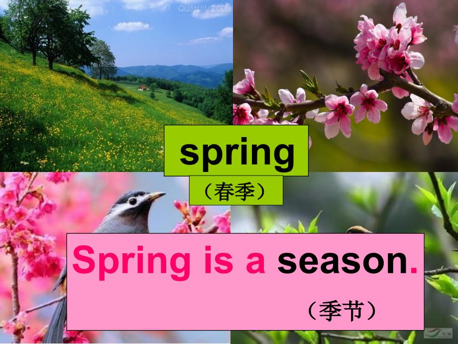 四年级英语下册 seasons 第一课时课件_第4页