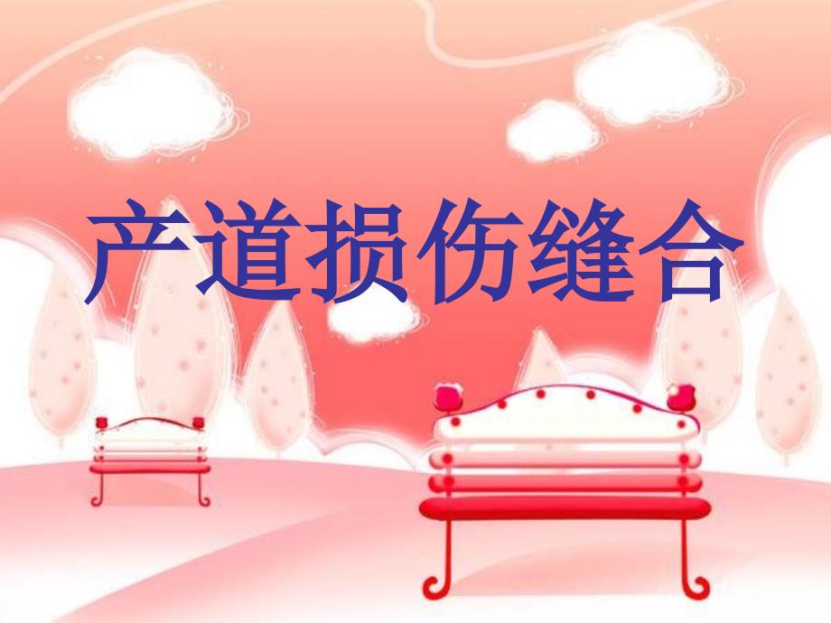 产道损伤缝合课件_第1页