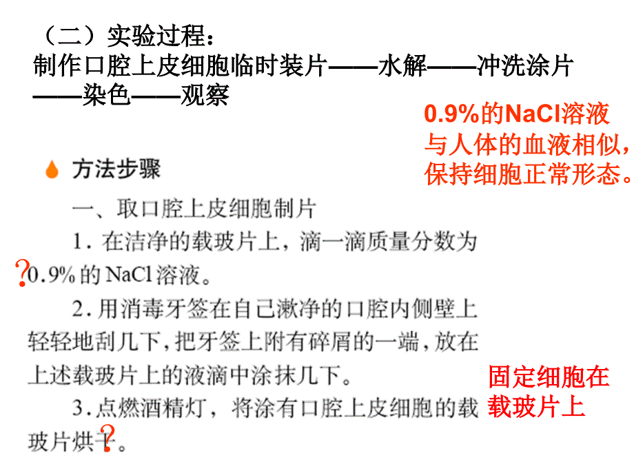 江西省吉安县第三中学高中生物必修一：2.3遗传信息的携带者——核酸2 课件 _第2页