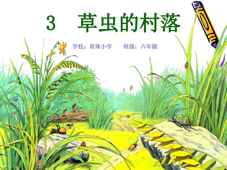 人教版小学六年级语文上册第3课《草虫的村落》课件_第1页