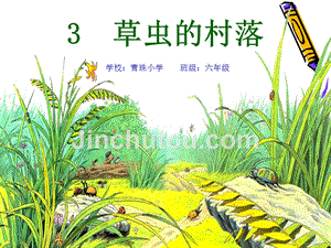 人教版小学六年级语文上册第3课《草虫的村落》课件