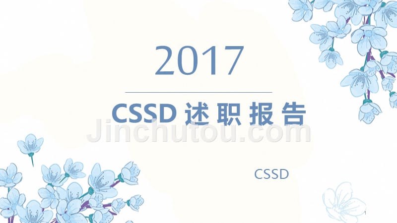 2017年CSSD述职报告PPT课件_第1页
