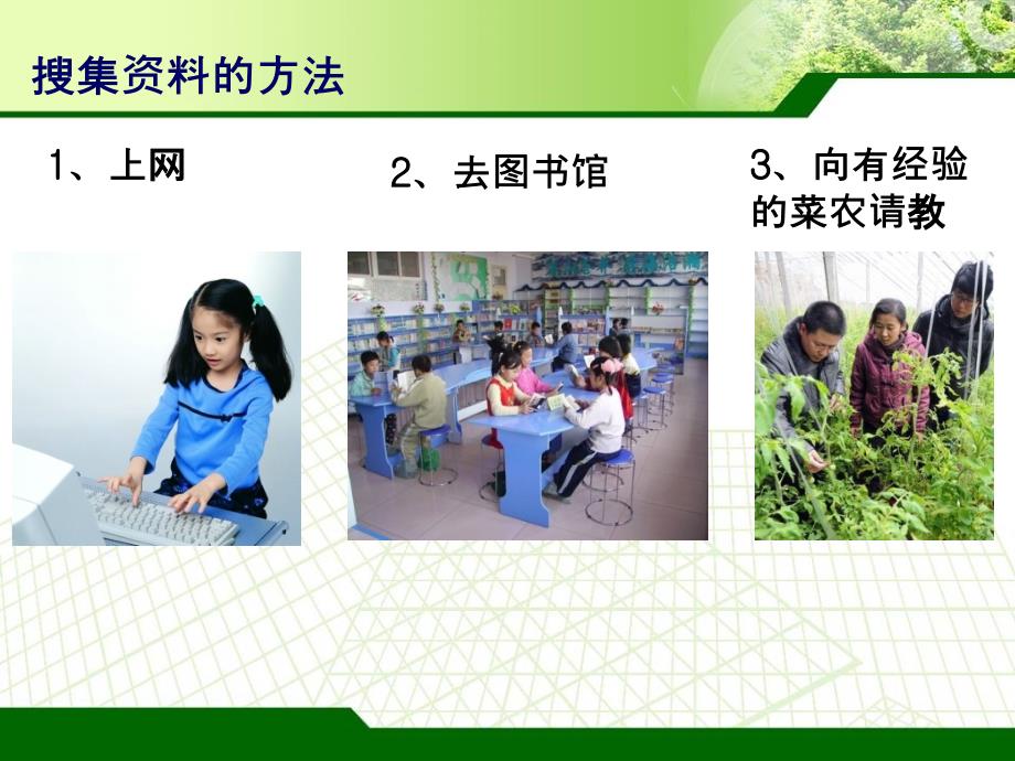 四年级科学下 种茄子_第2页