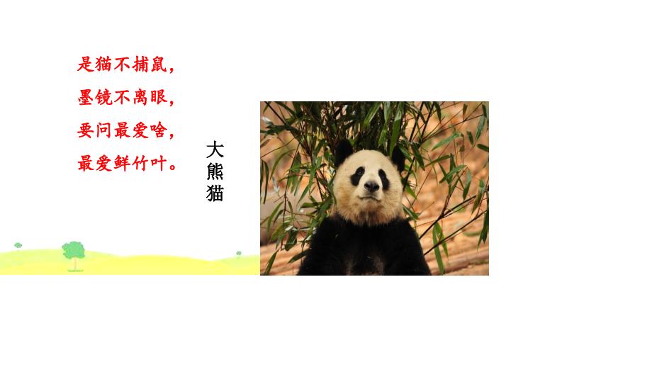 2019部编版二年级下册《习作 国宝大熊猫 （11张ppt）》完结版精品课件_第2页