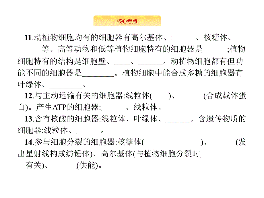 2020版高考生物苏教版一轮复习课件：2单元 _第4页