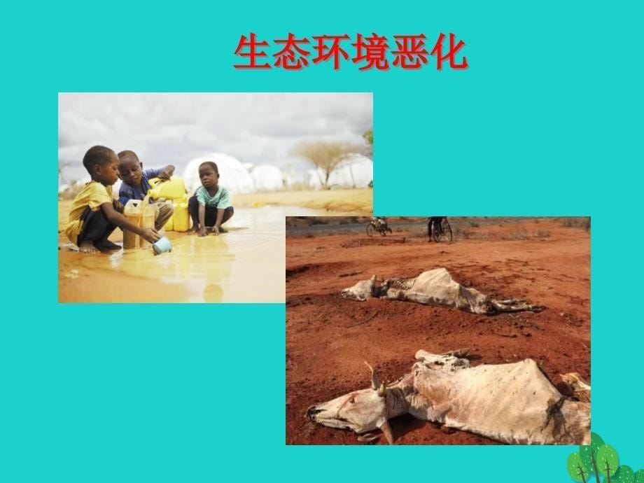 八年级地理下册 第6章 第四节 撒哈拉以南非洲 人口、粮食与环境课件 中图版_第5页