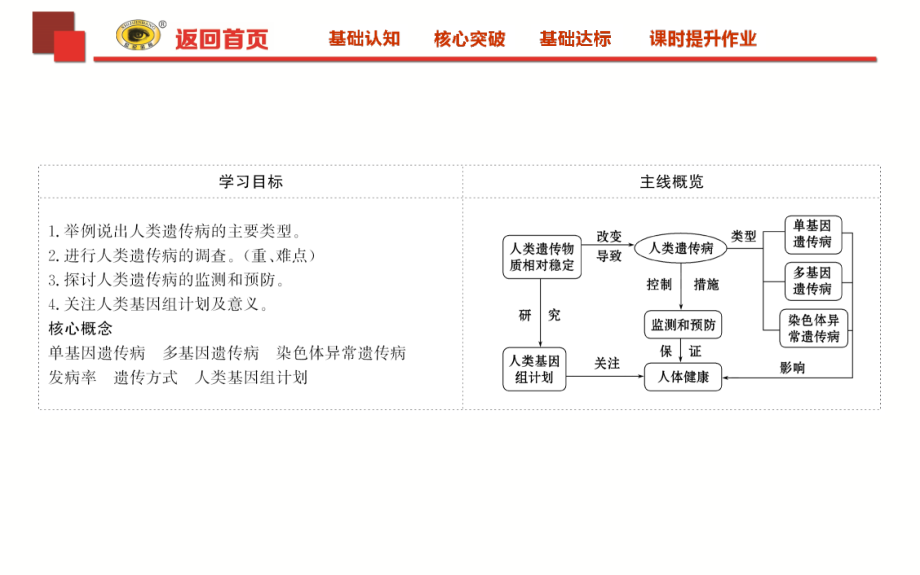 【世纪金榜】2018-2019学年高中人教版生物必修二课件：5.3 人类遗传病2 _第2页