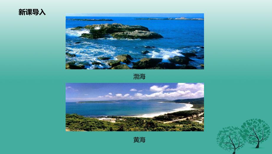 八年级地理上册3.4海洋资源课件新版粤教版_第3页