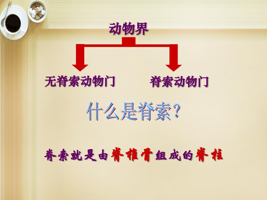 八年级生物上册 14.2 千姿百态的动物世界课件 （新版）苏教版_第2页