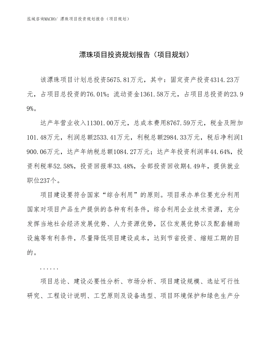 漂珠项目投资规划报告（项目规划）_第1页