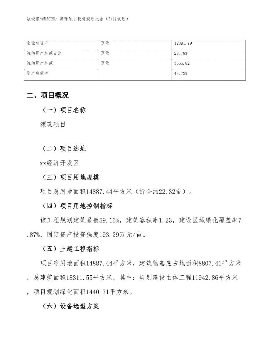 漂珠项目投资规划报告（项目规划）_第5页