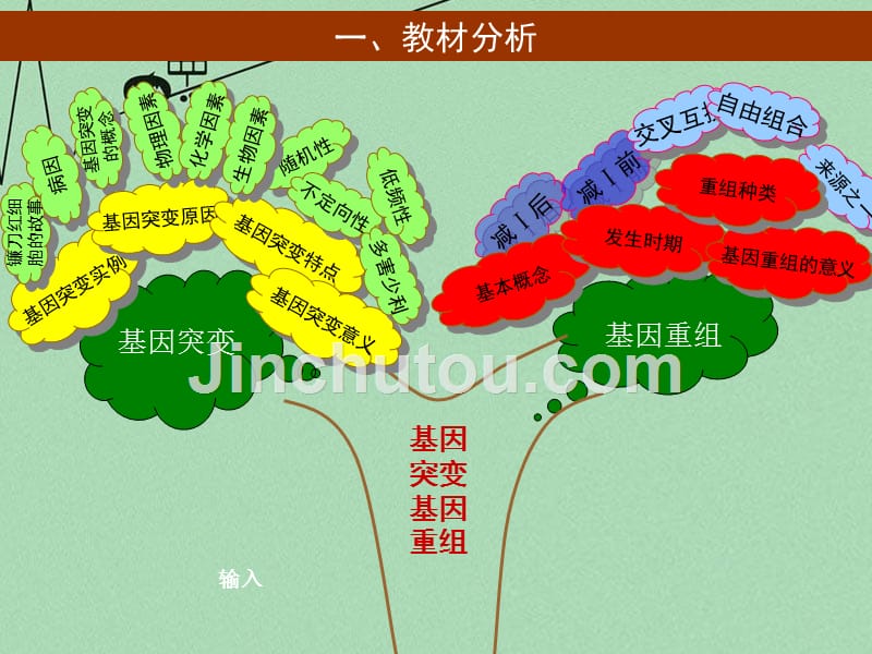 山东省淄博市淄川般阳中学高中生物 第五章 第一节 基因突变和重组课件1 新人教版必修2_第3页