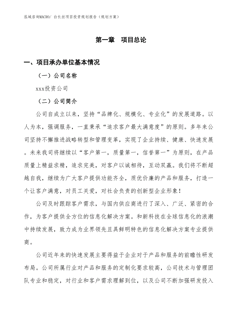 白长丝项目投资规划报告（规划方案）_第3页