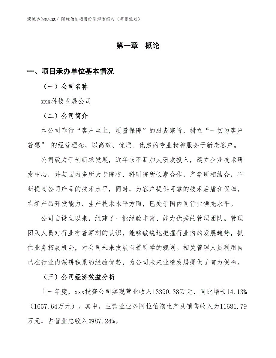 阿拉伯袍项目投资规划报告（项目规划）_第3页