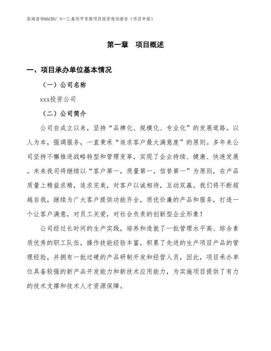 N－乙基间甲苯胺项目投资规划报告（项目申报）_第2页