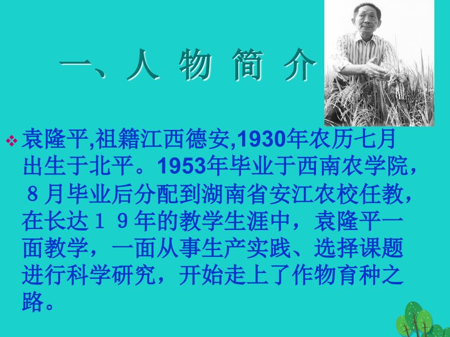 八年级语文上册 第二单元 8《杂交水稻之父——袁隆平》课件1 （新版）语文版_第3页