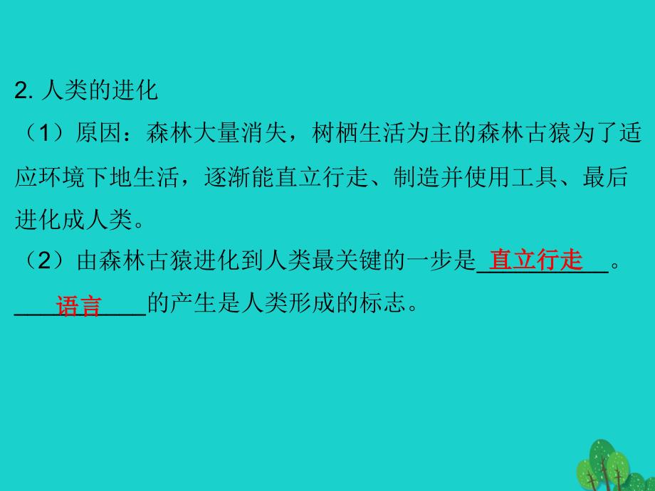 广东省2018年中考生物总复习 第四单元 第一章 人的由来课件_第3页