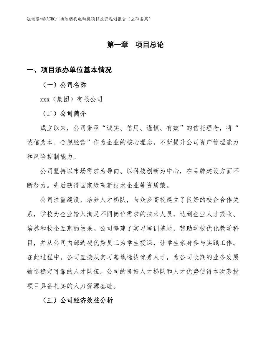 抽油烟机电动机项目投资规划报告（立项备案）_第3页