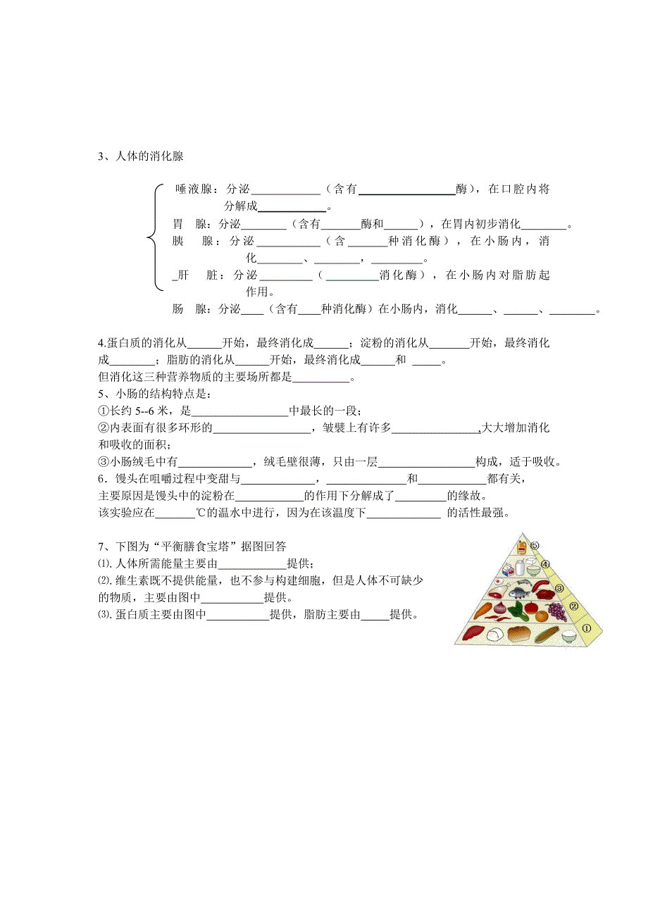 《 人的由来》练习题_第2页