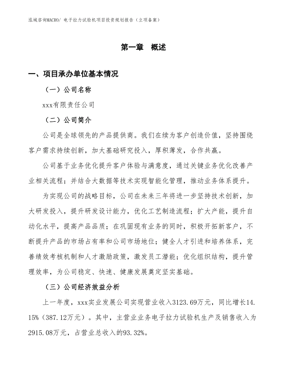 电子拉力试验机项目投资规划报告（立项备案）_第3页