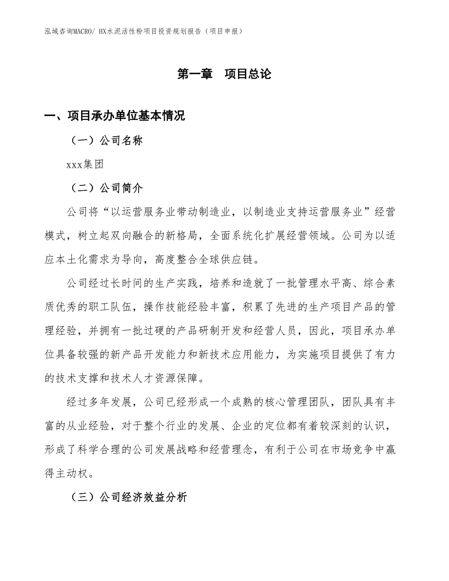 HX水泥活性粉项目投资规划报告（项目申报）_第2页