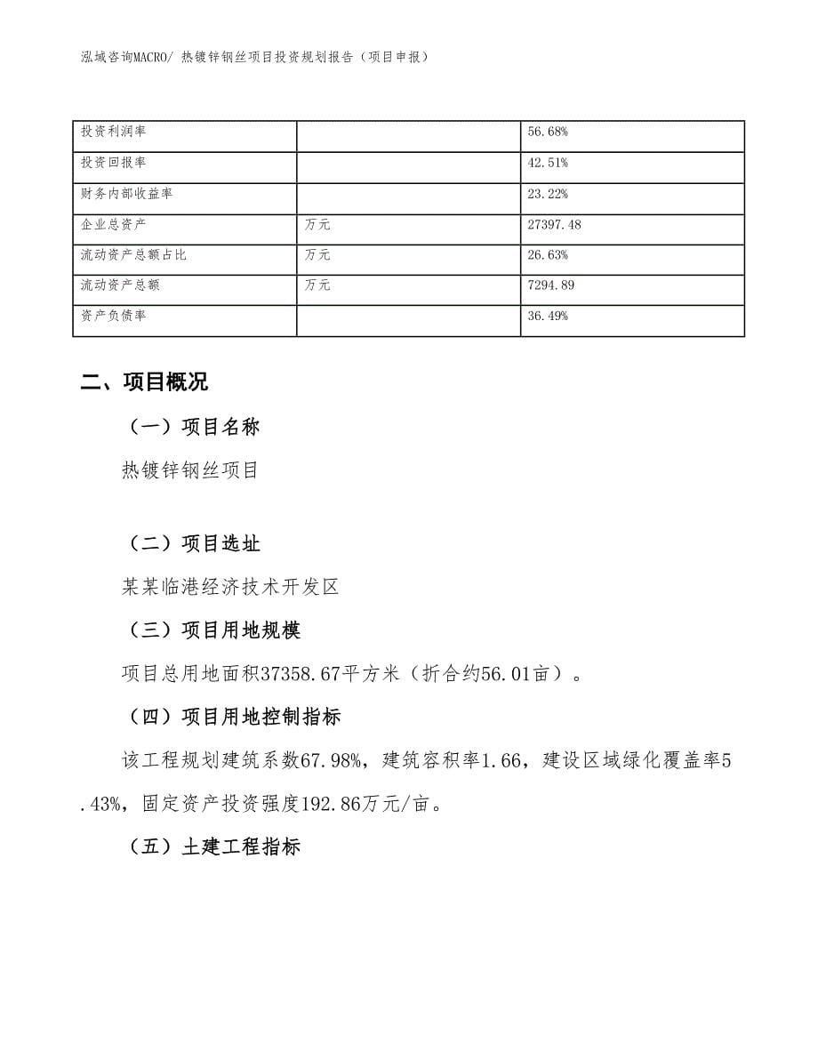 热镀锌钢丝项目投资规划报告（项目申报）_第5页