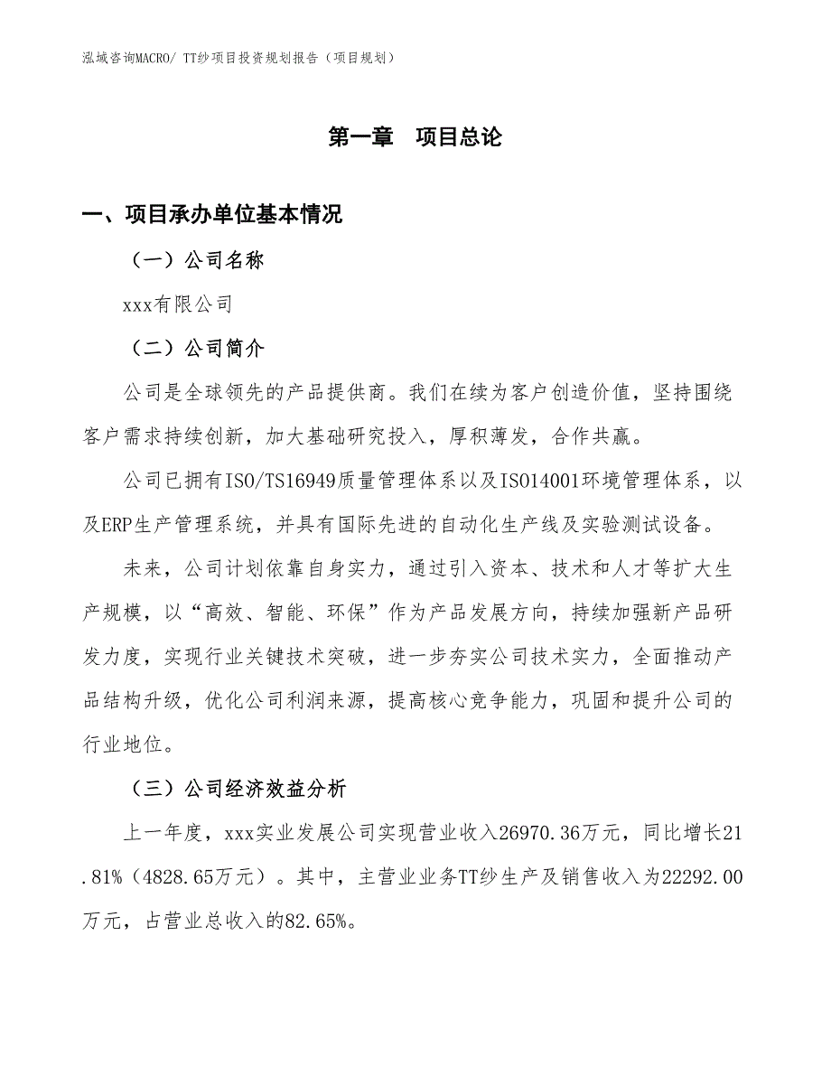 TT纱项目投资规划报告（项目规划）_第3页