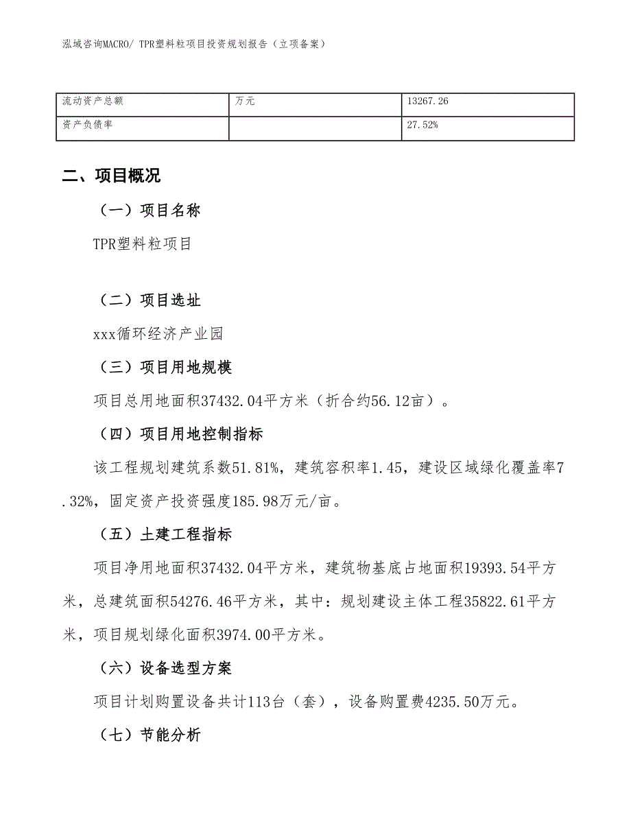 TPR塑料粒项目投资规划报告（立项备案）_第4页