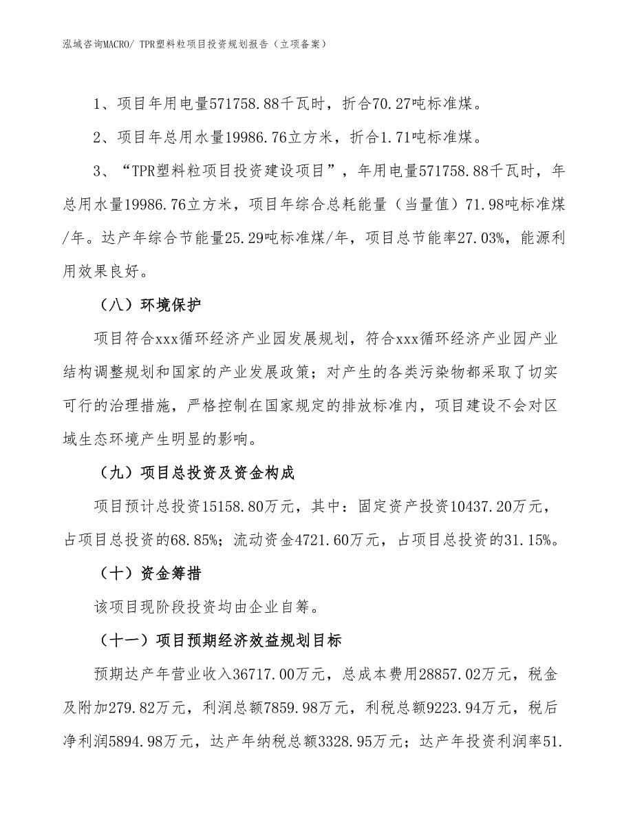 TPR塑料粒项目投资规划报告（立项备案）_第5页