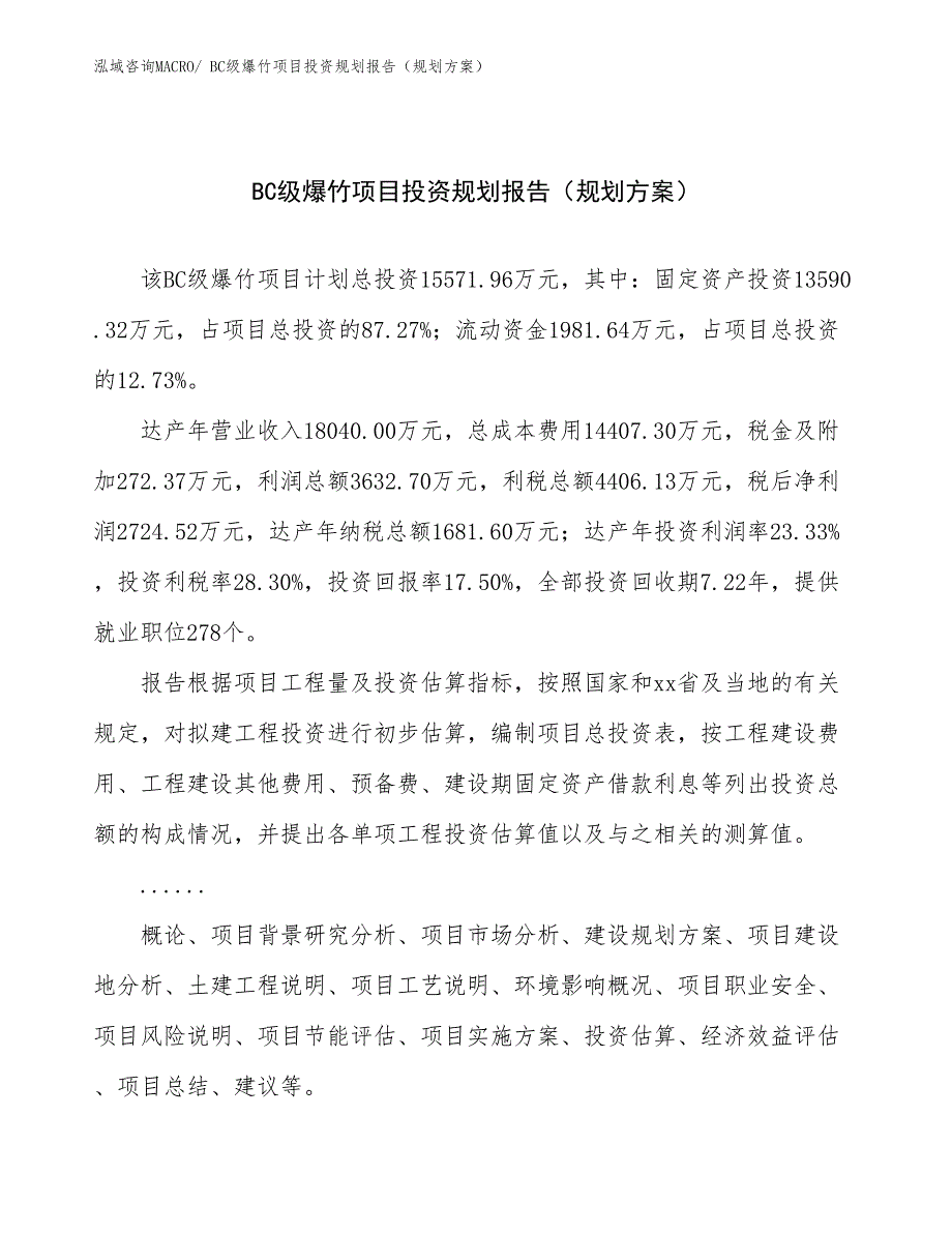 BC级爆竹项目投资规划报告（规划方案）_第1页