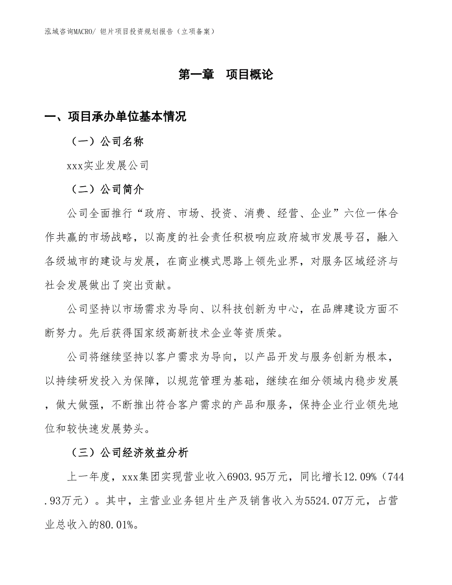 钽片项目投资规划报告（立项备案）_第3页