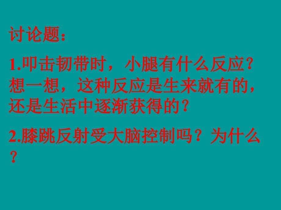 6.3神经调节的基本方式 课件1（人教版七年级下册）.ppt_第5页