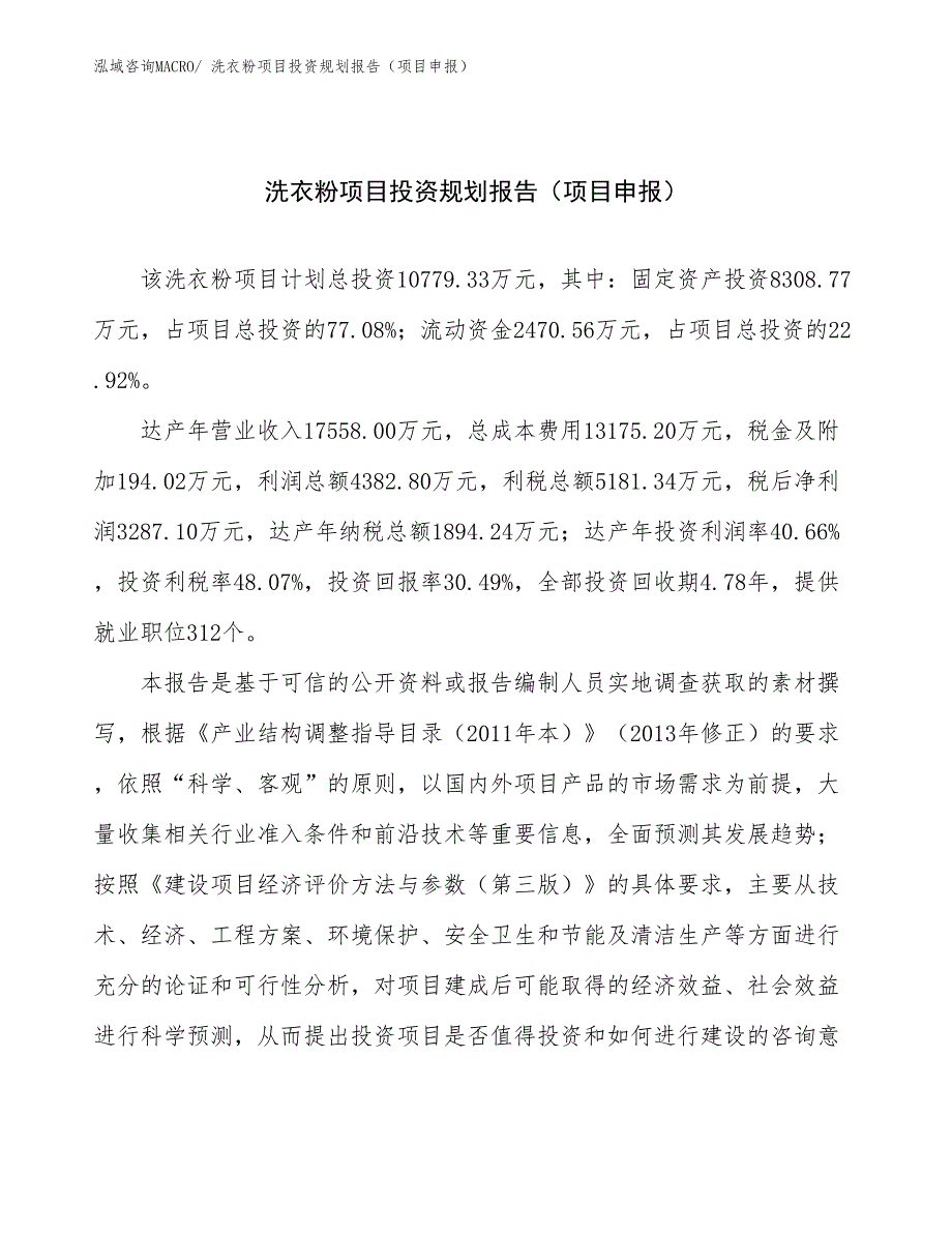 洗衣粉项目投资规划报告（项目申报）_第1页