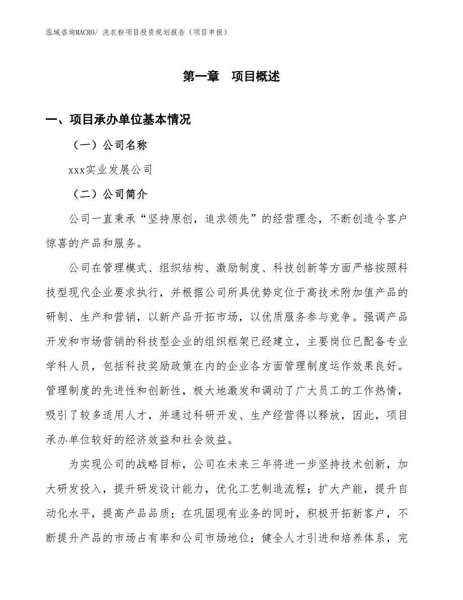 洗衣粉项目投资规划报告（项目申报）_第3页