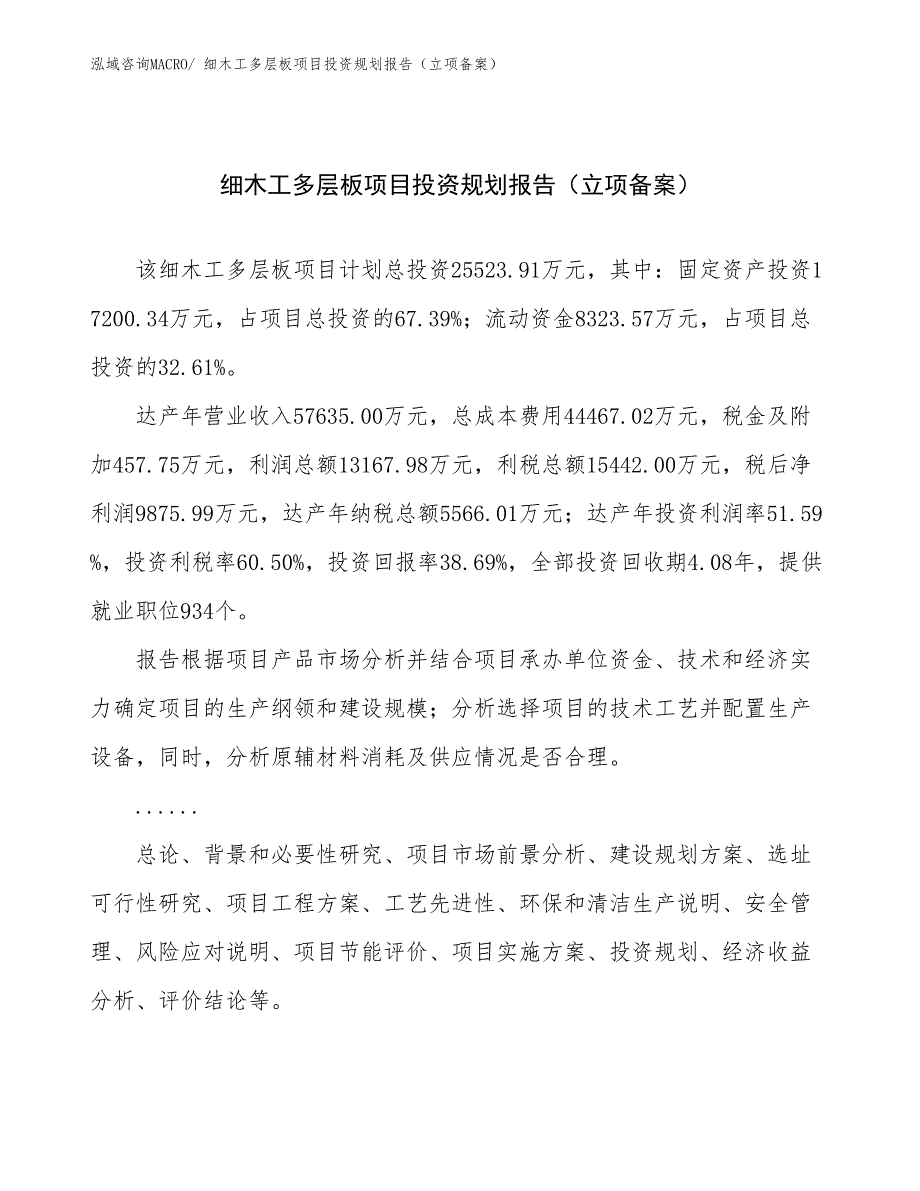 细木工多层板项目投资规划报告（立项备案）_第1页