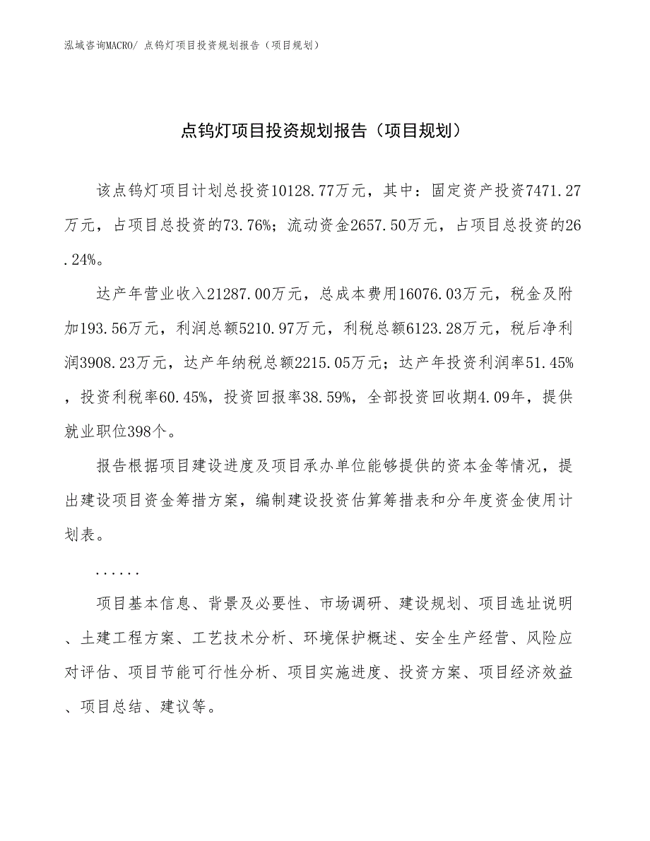 点钨灯项目投资规划报告（项目规划）_第1页