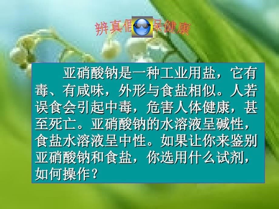 归纳：盐的化学性质_第5页