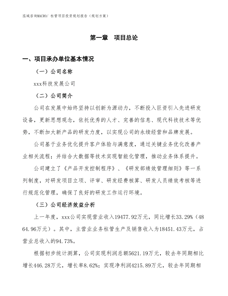 柱管项目投资规划报告（规划方案）_第2页