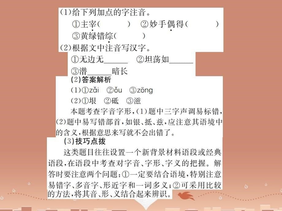 （四川专版）2018中考语文 专题一、二、三 字音字形、词语（成语）的理解与运用、标点符号的使用课件_第5页