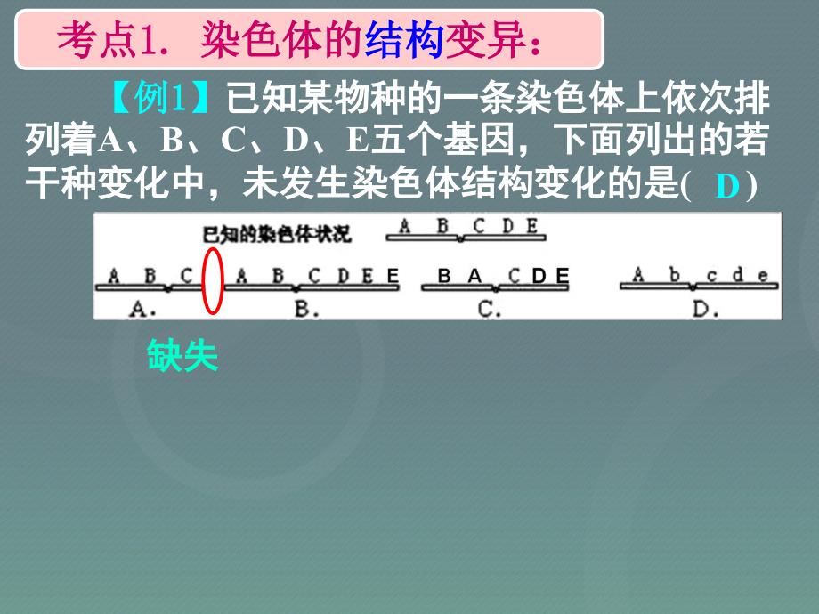 湖南省长沙市2018届高考生物一轮复习 染色体变异课件_第4页