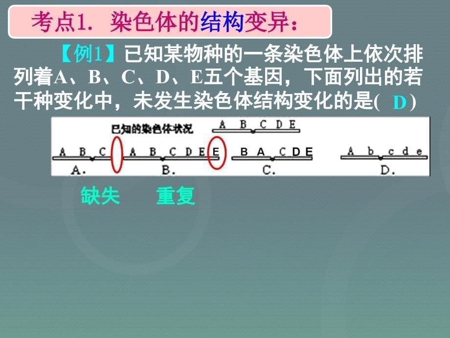 湖南省长沙市2018届高考生物一轮复习 染色体变异课件_第5页