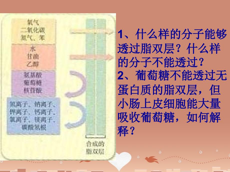 山西省曲沃中学校高中生物 4.3物质跨膜运输的方式课件2 新人教版必修1_第2页