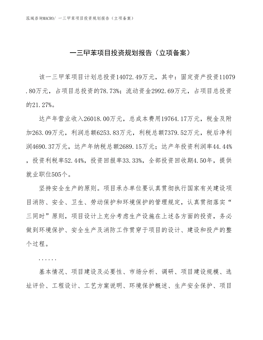 一三曱苯项目投资规划报告（立项备案）_第1页