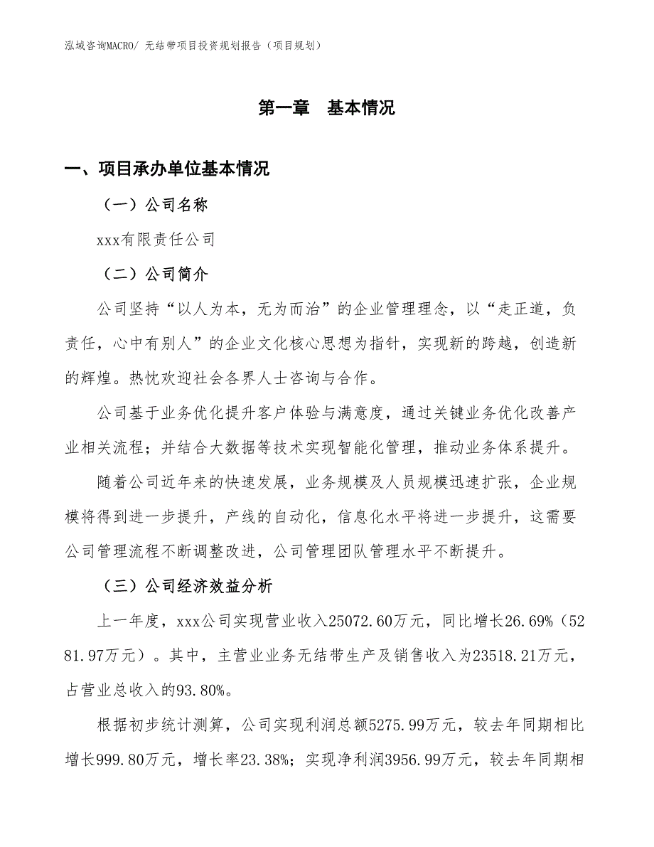 无结带项目投资规划报告（项目规划）_第3页