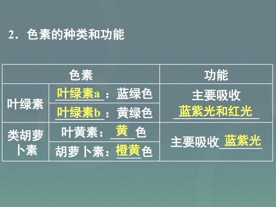 湖南省长沙市2018届高考生物一轮复习 能量之源 光与光合作用课件_第4页