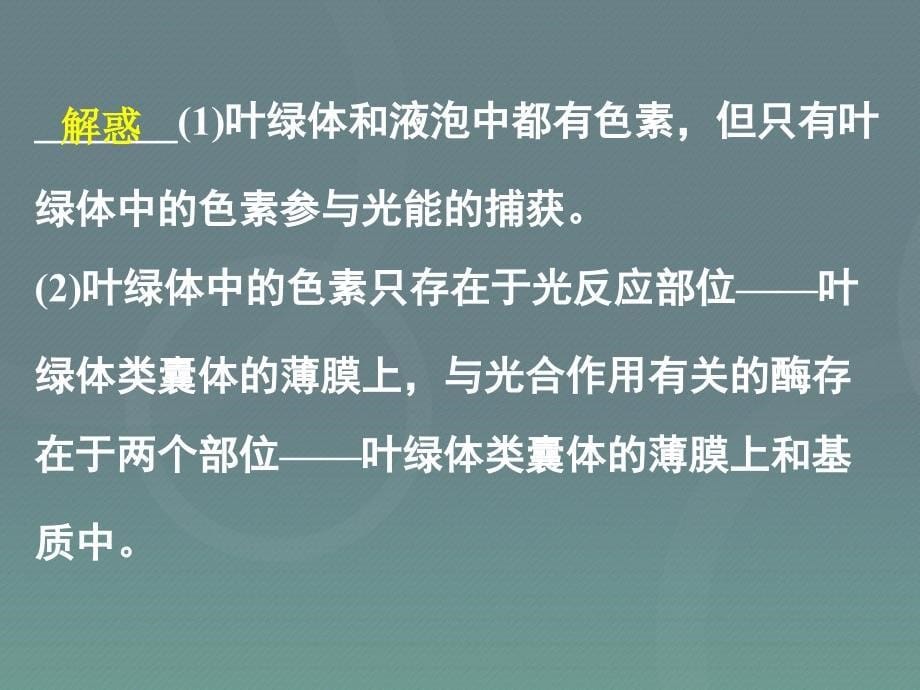 湖南省长沙市2018届高考生物一轮复习 能量之源 光与光合作用课件_第5页