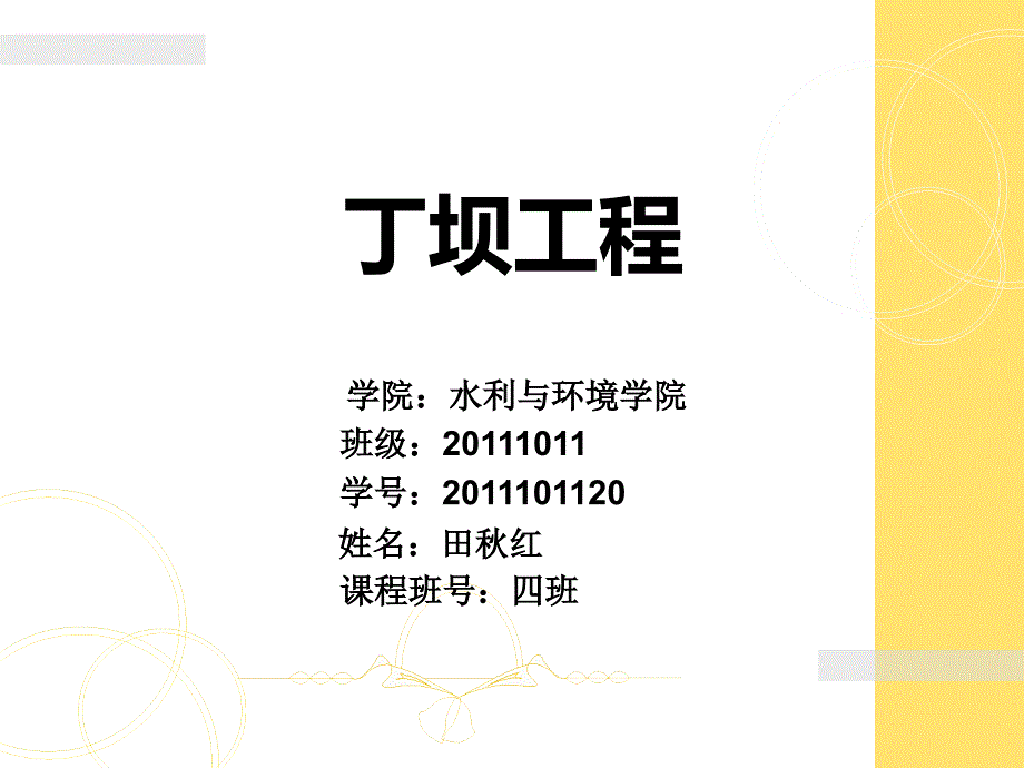 丁坝工程 水利与环境学院 _第1页